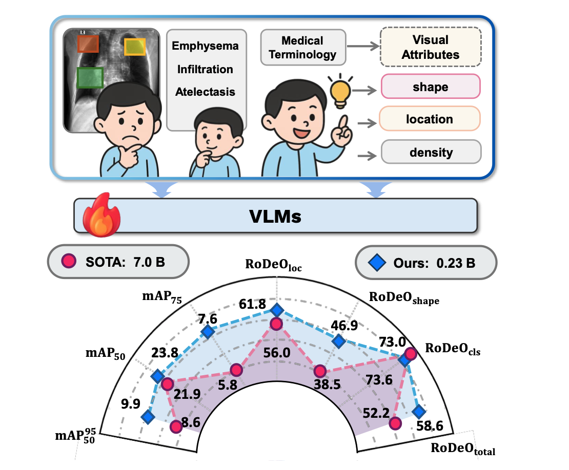 Enhancing Abnormality Grounding for Vision-Language Models with Knowledge Descriptions